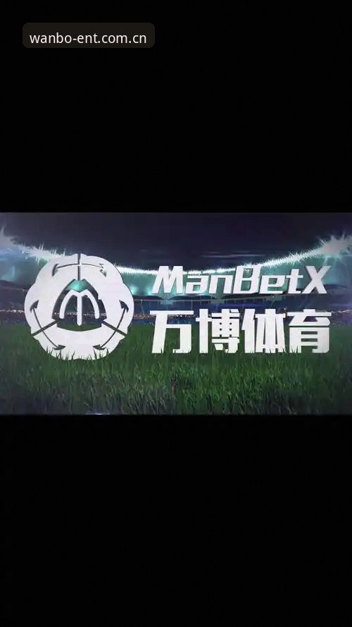 万博体育平台manbetx安装失败全面评测：v2.2.1新手避坑与解决实录